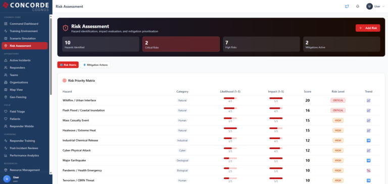 Cognos Risk Assesment 1